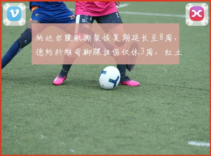 纳达尔腹肌撕裂恢复期延长至8周，德约科维奇脚踝扭伤仅休3周，红土赛季前景分化